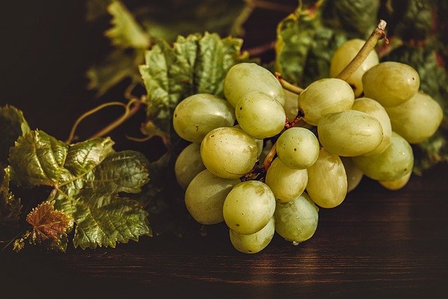 benefits of eating grapes thedailyindia